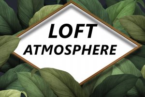 LOFT Atmosphere