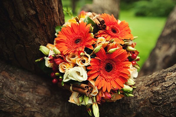 ФОТО-ВИДЕОсъемка свадеб в СПб. Приятные цены. deminvideo.ru&nbsp;Фото-видеосъемка в Петербурге. Deminvideo.ru : 