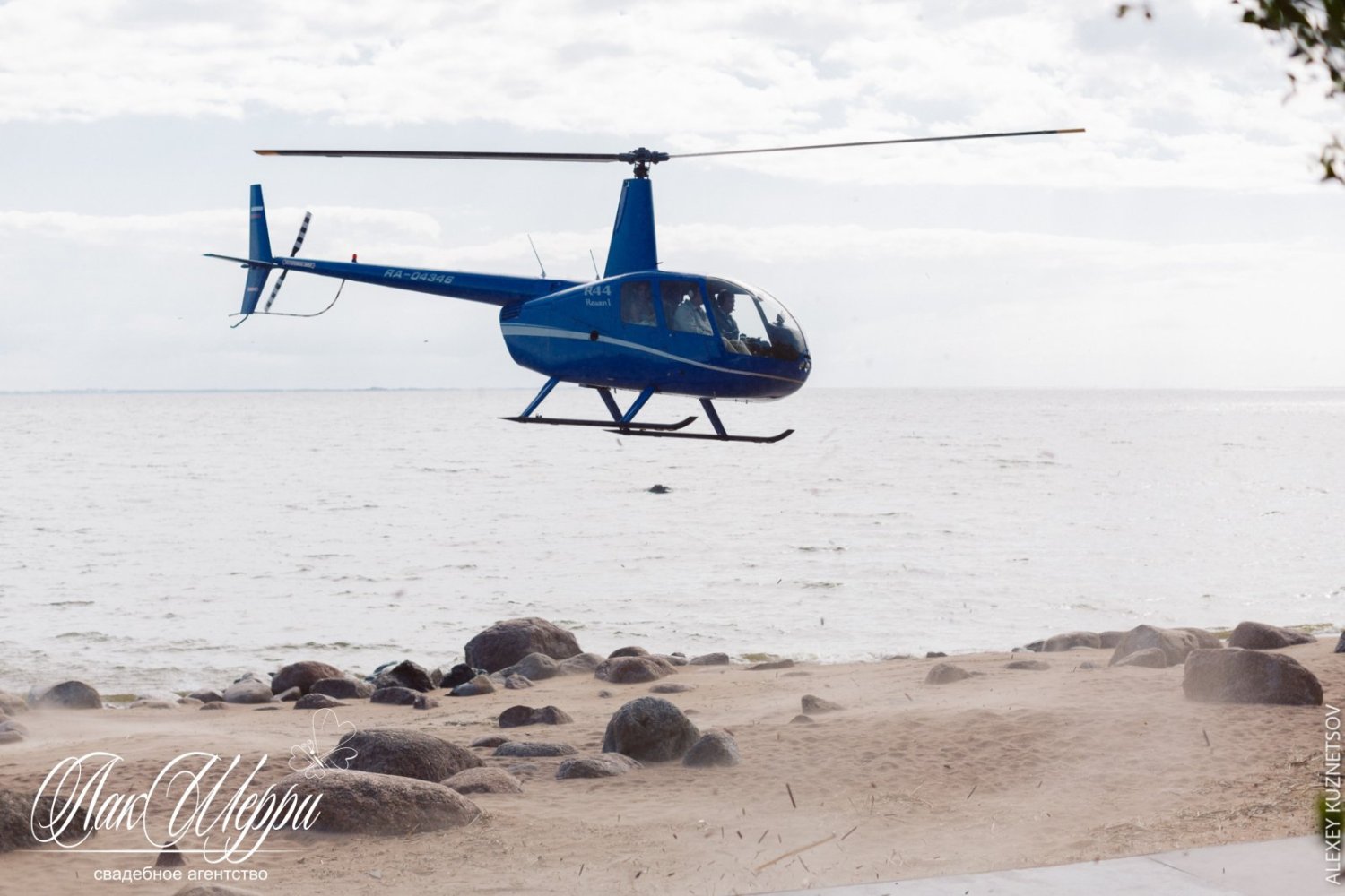 Красные ягоды на синем бархате Ильи и Дианы&nbsp;Свадебное агентство "ЛакШерри" : 