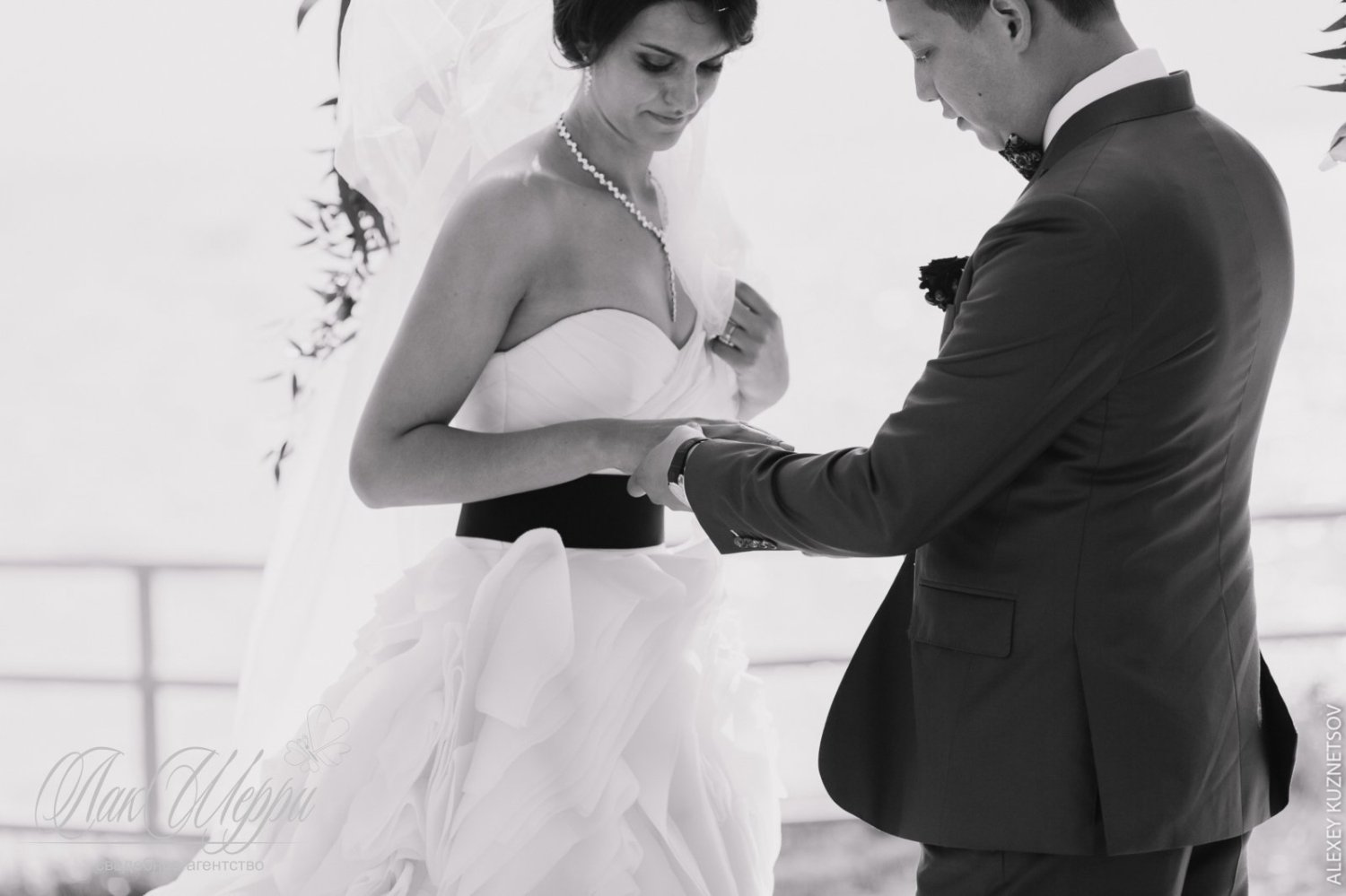 Красные ягоды на синем бархате Ильи и Дианы&nbsp;Свадебное агентство "ЛакШерри" : 