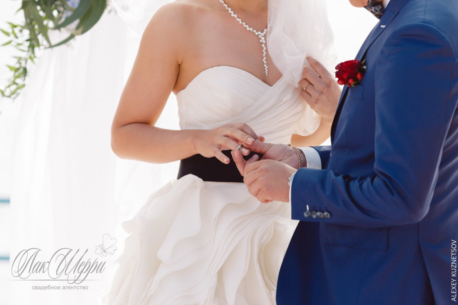 Красные ягоды на синем бархате Ильи и Дианы&nbsp;Свадебное агентство "ЛакШерри" : 