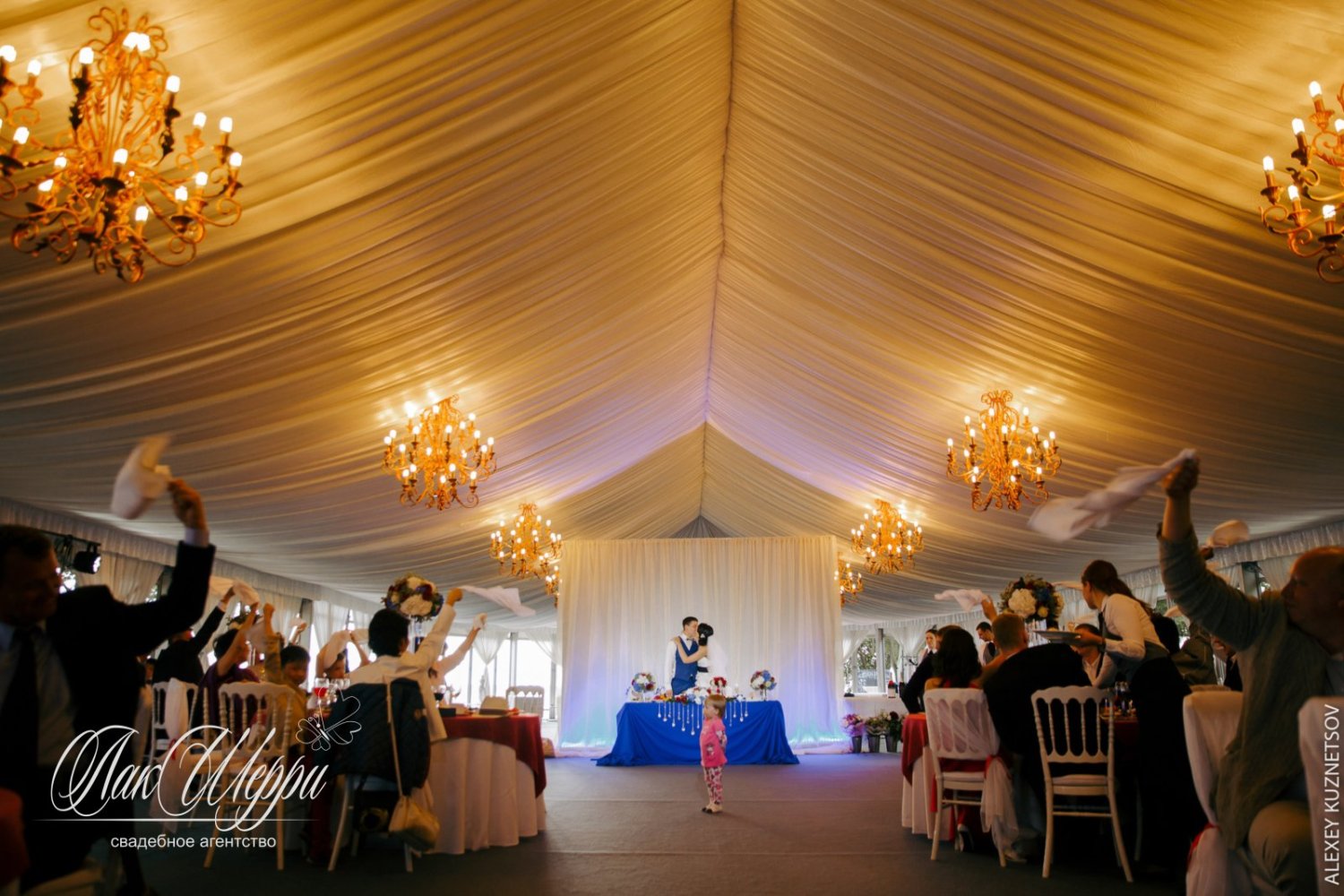 Красные ягоды на синем бархате Ильи и Дианы&nbsp;Свадебное агентство "ЛакШерри" : 