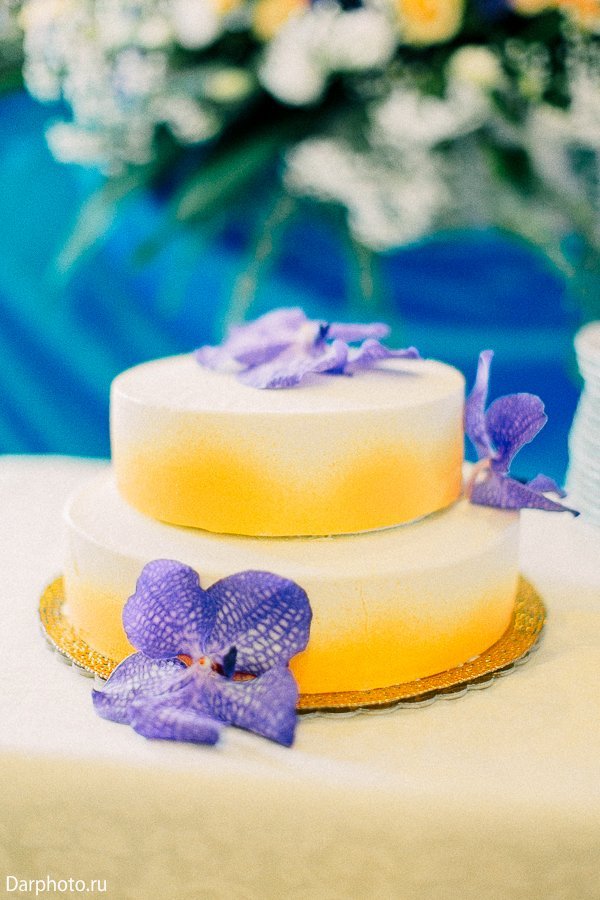 Свадьба на теплоходе Дарьи и Дмитрия&nbsp;Event-агентство "Мориссот" : 