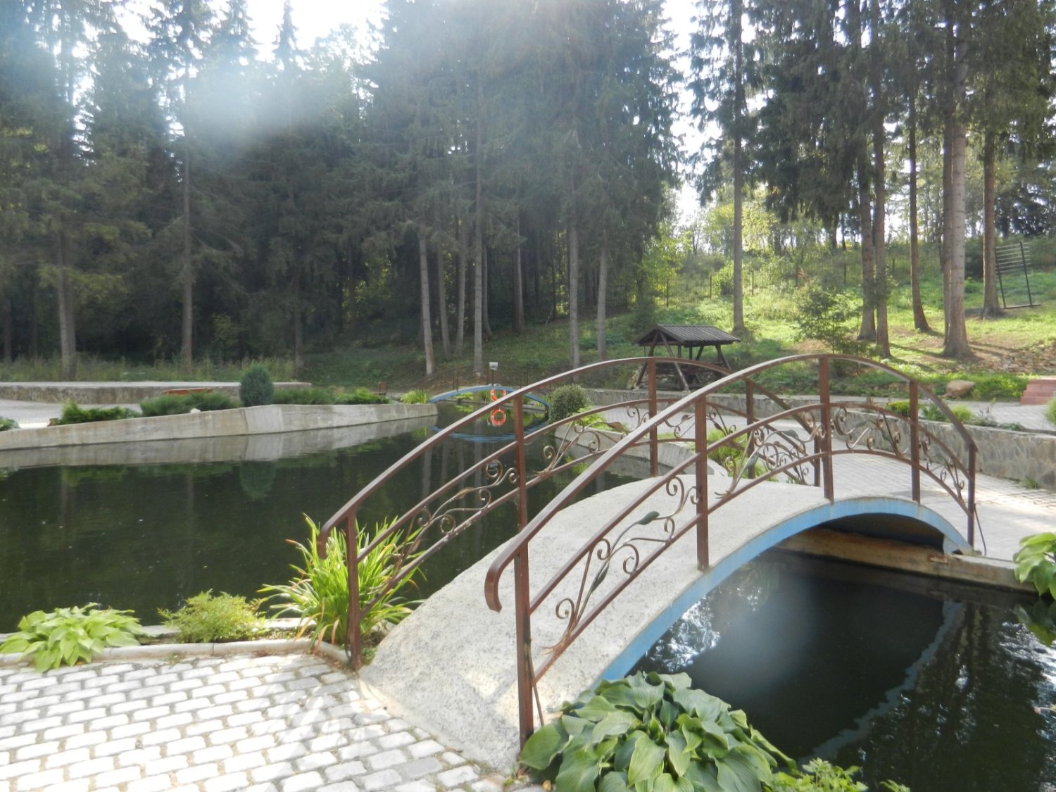 Наша территория&nbsp;Татьяна Калинина : 