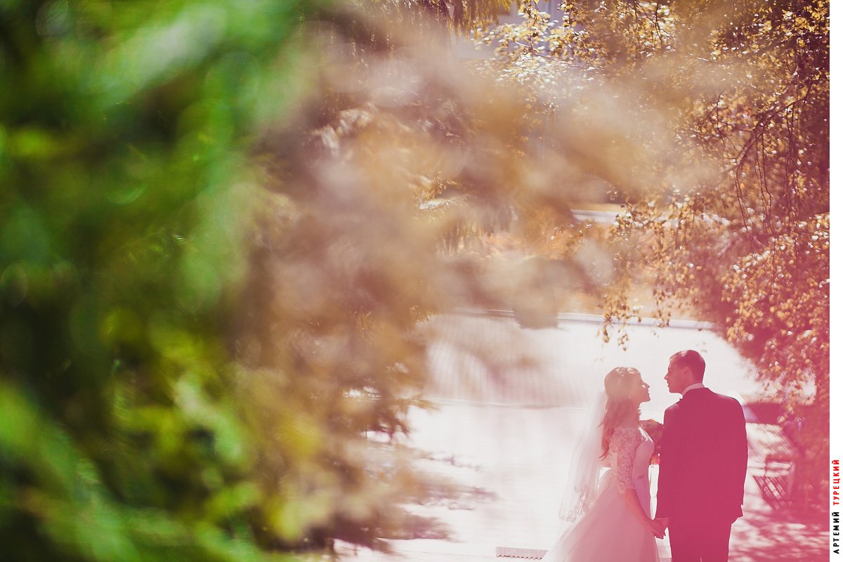 Ваш организатор Александра Елизарова&nbsp;Александра Елизарова : 