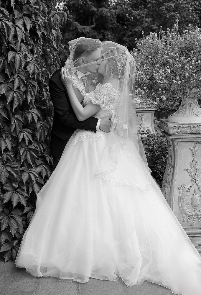 мои работы&nbsp;Фотограф Комарова Ольга : 