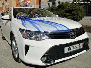 логотип Свадебный кортеж Данко Волгоград